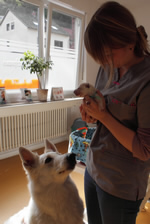 tierarzt mit helferin